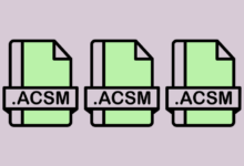 What Is ACSM File