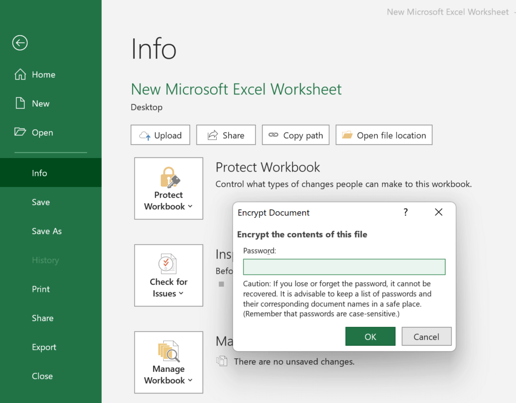 Guide And Tips How To Password Protect Excel From Opening Filelem 4903