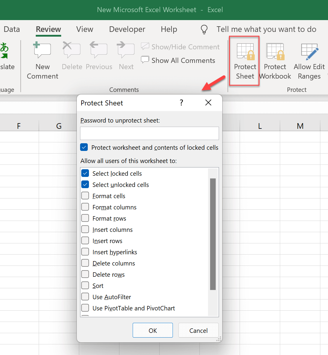 Protect the Excel Spreadsheet by Clicking Protect Sheet